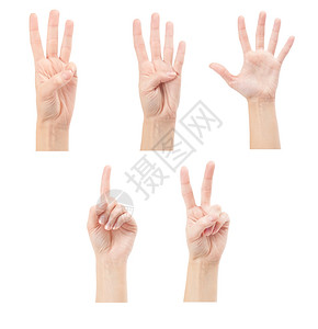 1手势以白色背景隔离的手数妇女1至5背景