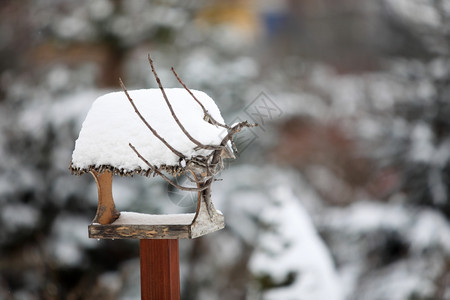 雪地花园冬天风景图片