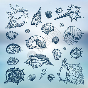 贝壳海螺矢量元素背景背景图片