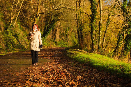 美丽的秋天之路爱尔兰欧洲科克公司女在户外散步阳光明媚的日落橙色叶图片