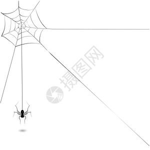 用于设计的黑蜘蛛插图高清图片