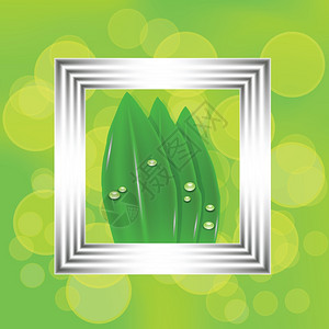 绿色植物框用白框中的叶子绘制设计时的色彩多插图背景