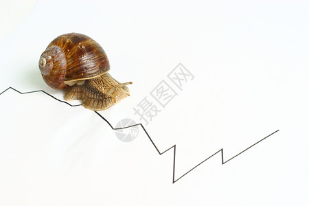 蜗牛缓慢的商业图表图片