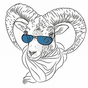 手绘戴着眼镜的羊头卡通矢量插图背景图片