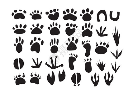 猎豹插画