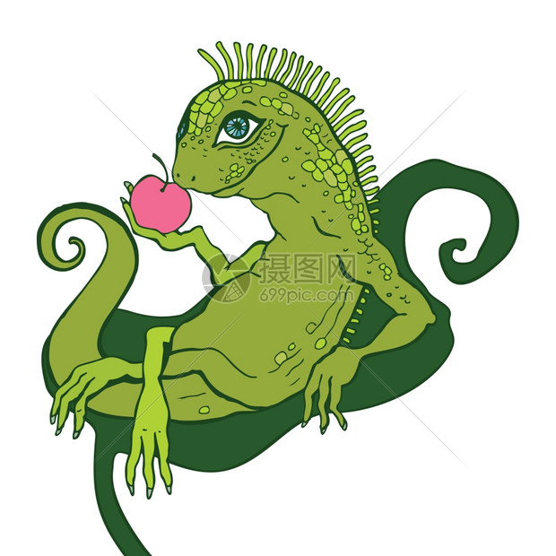 蜥蜴iguana卡通手绘矢量说明