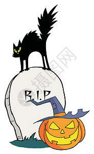 黑猫和杰克奥绿灯侠在墓碑上图片