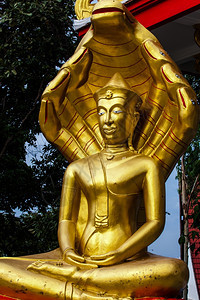 佛祖泰国图片