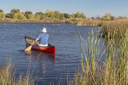 位于科罗拉多州林斯堡河滨池塘自然区平静湖上的红色独木舟图片