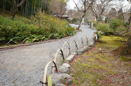 Tenryuji以它的风景花园闻名图片