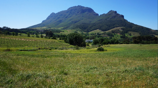 南非开普敦以外斯泰伦博施葡萄酒区山图片