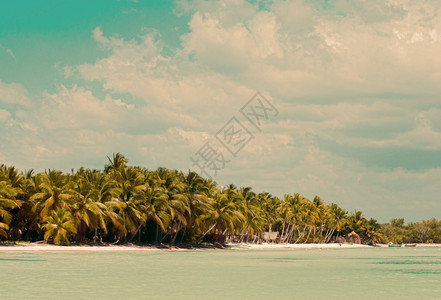 热带海滩xAxA热带海滩xA的外形图像热带海滩的外形图像热带海滩xA图片