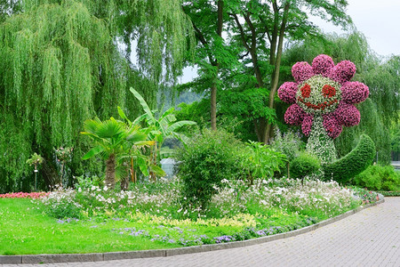 美丽的花朵形状图片