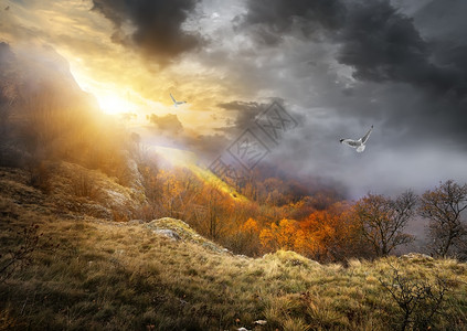 秋天在山上登鸟和灰云图片