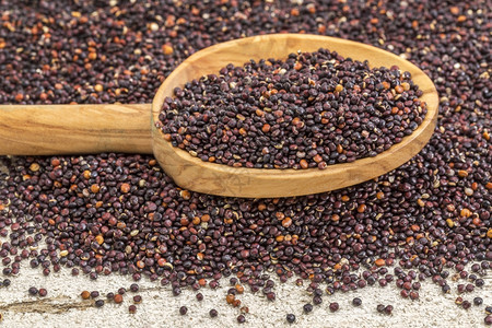 玻利维亚用木勺种植的免费黑quinoa谷物图片