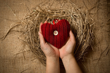 女将红编织的心脏握在巢中手的近照图片