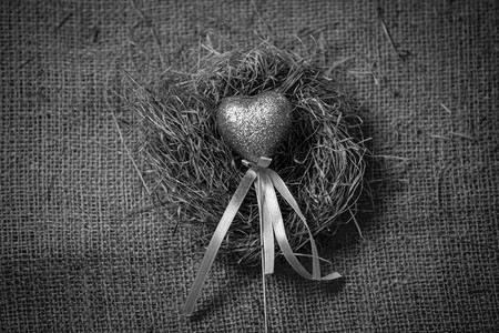 鸟巢中装饰心脏的黑白照片图片