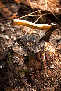 铁斧卡在森林的原木中图片