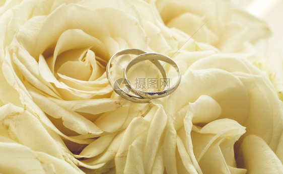 白色玫瑰上挂着戒指的婚礼背景图片