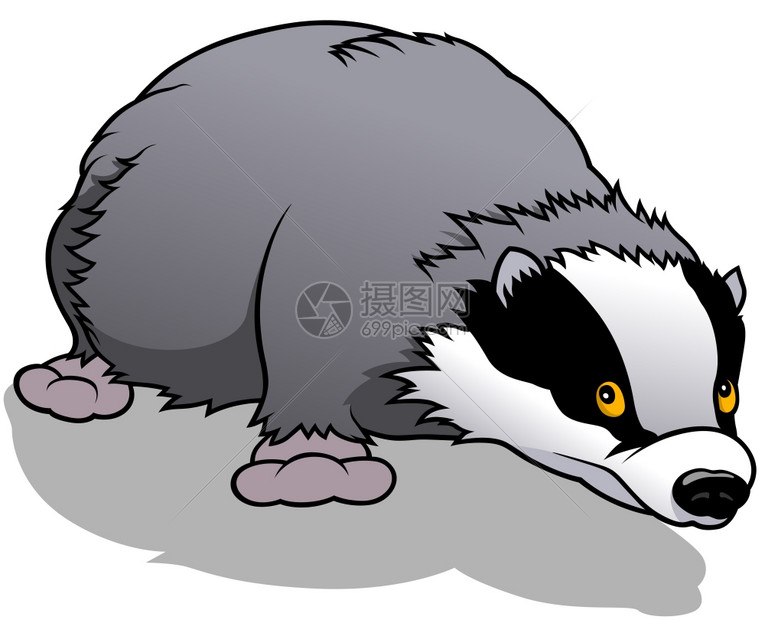卡通可爱獾