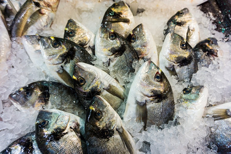 鱼类市场上的冰多拉鱼图片