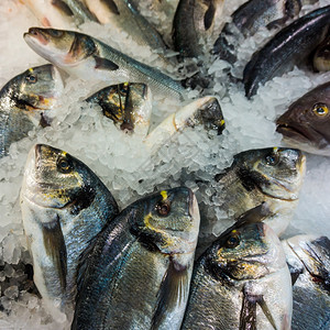 鱼类市场上的冰多拉鱼新鲜度高清图片素材