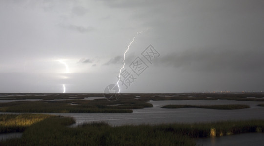 墨西哥湾的沼泽地区 被暴风雨图片