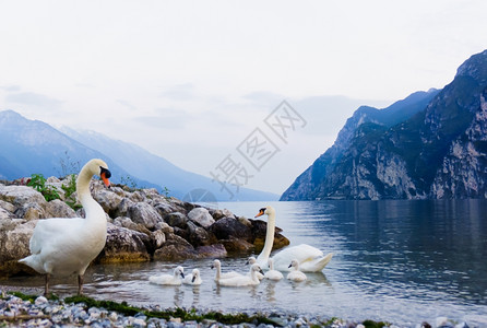 地中海风意大利加尔达湖景观RivadelGarda背景