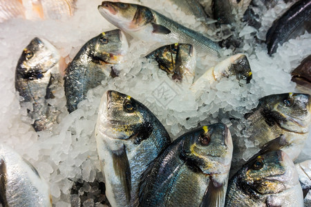 鱼类市场上的冰多拉鱼图片