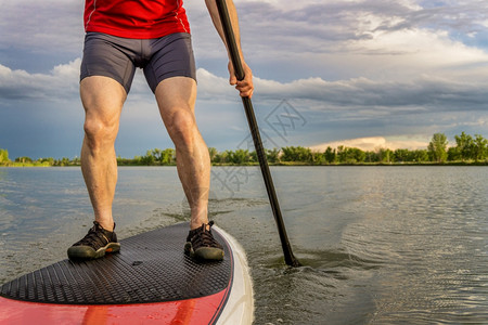 手起立的桨板上肌肉男护腿人夏天的平静湖图片
