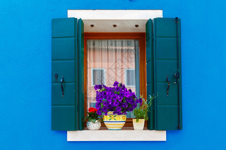 在著名的意大利威尼斯岛布拉诺的蓝色房屋墙上有百叶窗和鲜花的图片口图片