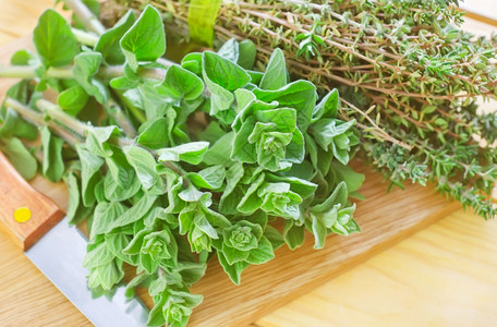 带百里香的食植物图片