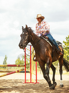 西部女牛仔训练骑马运动活跃西部女牛仔训练骑马跳过围栏术比赛和活动图片