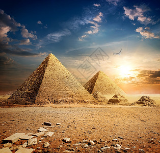 大鸟在日落时飞过金字塔图片