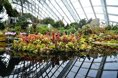 SINGAPORESEP5201年9月日新加坡湾边花园的云林景象图片