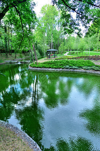 乌克兰城夏季公园绿图片