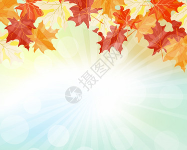 秋天框架空背景上有落叶太阳光线和理想平衡颜色的优雅设计矢量I说明图片
