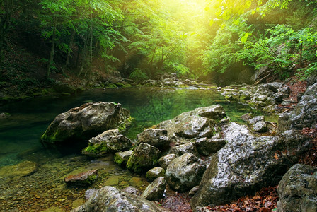 山林深处的河流自然构成图片