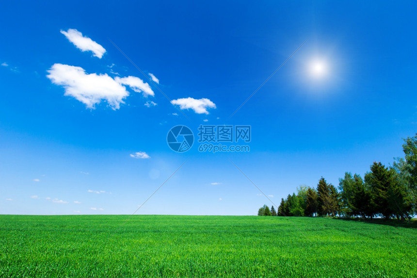 绿地和蓝天空高清图片下载-正版图片304127040-摄图网
