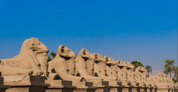埃及卢克索阿蒙神庙LuxorSphinx大道埃及图片