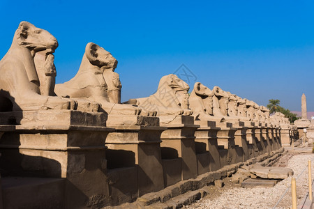 埃及卢克索阿蒙神庙LuxorSphinx大道埃及背景图片