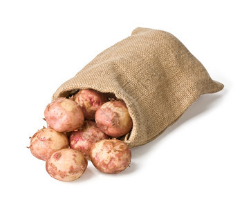 在一个赫西安麻袋里生土豆孤立在白色背景和剪片路径的白色背景上图片