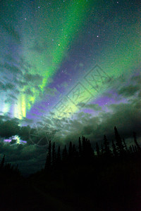紫色极光北极光出现在WrangellStElias公园背景