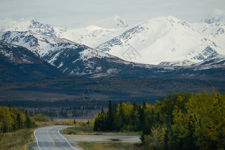 路的弯曲带你沿着美丽的阿拉斯加山地基图片