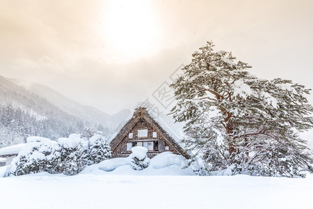 白川戈与下雪冬日图片
