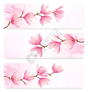 三个春天的横幅加上粉红色花朵的开早午餐矢量背景图片