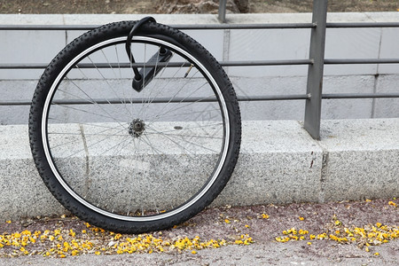 被偷的自行车轮被锁固定在金属栅栏上图片