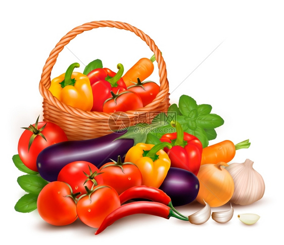 健康食品素材和水果矢量插图图片