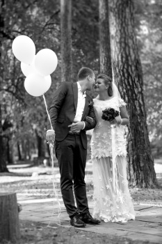 新郎拿着气球在公园亲吻美丽新娘的黑白郎照片图片