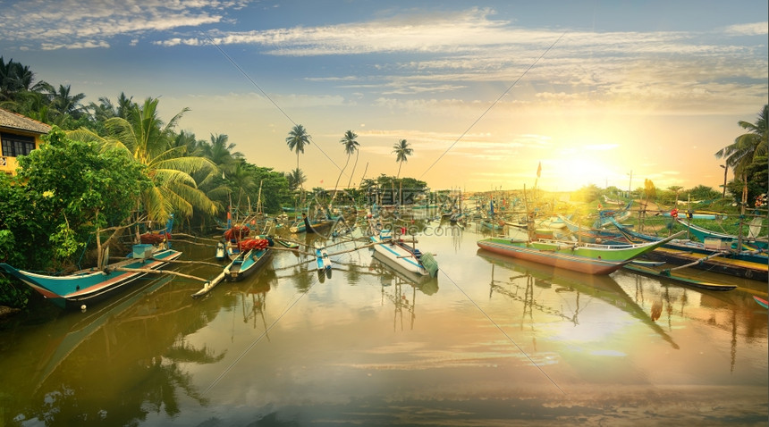 斯里兰卡日落时在水湾的渔船图片